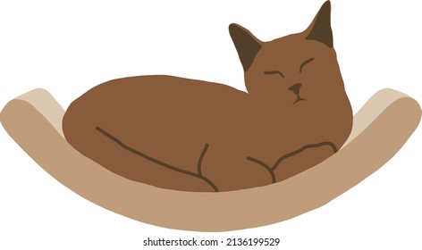 Brown cat sleeps in a ball in his couch