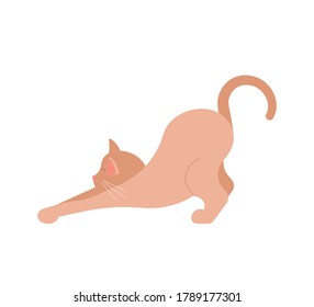 Brown cat stretching. Square card with funny kitten in flat design. Happy cats day. Flat Art Vector Illustration