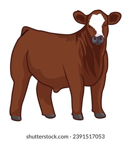 brown cattle livestock vector stock