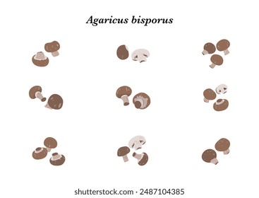 Brown champignon mushroom isolated on white background