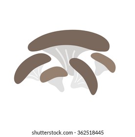 Brown champignon mushroom isolated on white background
