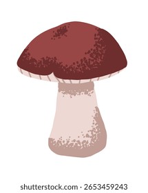 Cogumelos champignon ou shiitake marrons em estilo plano com textura ruidosa. Cogumelos do outono