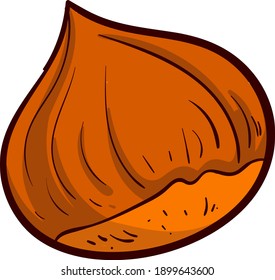 Brown chestnut, illustration, vector on a white background.