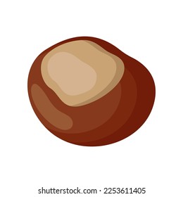 Brown chestnut kernel isolated on white background. Chestnut vector illustration. Nature, food, autumn concept