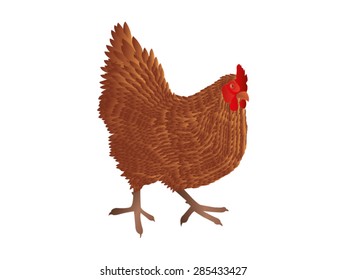 Brown chicken