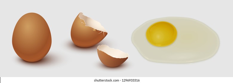 Brown chicken egg, eggshell and yolk isolated on gray background. Vector illustration.