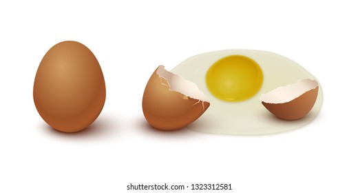 Brown chicken egg, eggshell and yolk isolated on gray background. Vector illustration