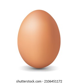 Brown chicken egg Realistic and volumetric egg for easter
