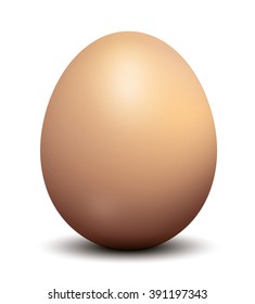 Brown chicken egg. Vector illustration.