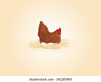 brown chicken, eggs, hay