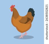brown chicken in isolated background