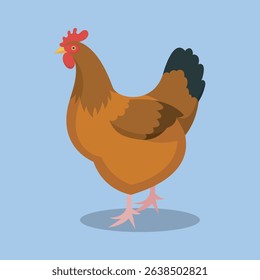 brown chicken in isolated background