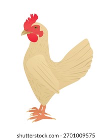 Frango castanho isolado. ilustração vetorial	
