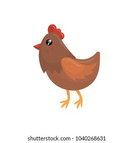 Brown chicken with red beak, scallop and orange feet. Cartoon bird character. Domestic fowl. Farm animal. Concept of poultry farming. Colorful flat vector design