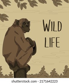 Brown Chimp Sitting On The Tree. Wild Life. Hand Drawn, Cartoon, Comics Style.