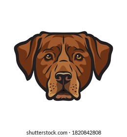 Brown Chocolate Labrador retriever dog  isolated outlined vector illustration