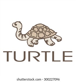 Brown clever little turtle. Which travels along the ground slowly but surely