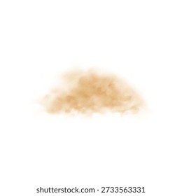 Brown cloud of dust or sand with fine particles, overlay effect. Desert, storm, cleaning, construction, dirt. Realistic smog. Vector illustration. Isolated background.