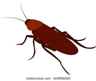 Brown cockroach, illustration, vector on white background.