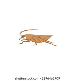 Cucaracha marrón o polilla de grano, ilustración vectorial plana aislada en fondo blanco. Concepto del servicio de control de plagas. Exterminación de fallos.