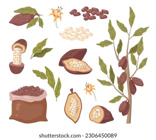 Brown cocoa beans in bag, pods as organic plant and natural food, green leaves and flowers in cartoon design. Cocoa, vector illustration of cacao beans, leaves in cartoon design