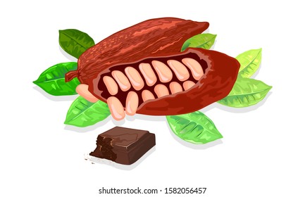 Brown cocoa pods and beans garnished green leaves are near square piece of dark, black chocolate. Source of energy and endorphin, cure for stress. Vector realistic illustration isolated on white.