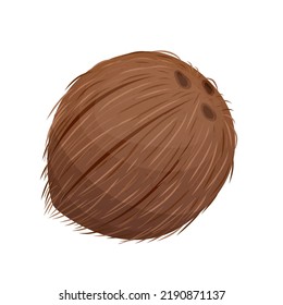 brown coconut fruit cartoon. coco nut tropical, milk palm, half open leaf, fresh cut summer food brown coconut fruit vector illustration