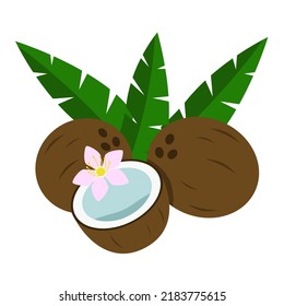 Brown coconut with green palm leaves. Tropical fruit flat vector illustration isolated on white background.