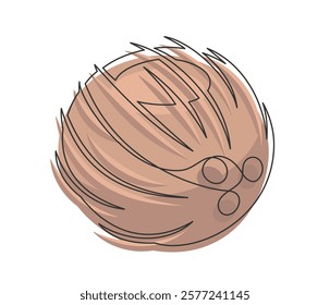 Brown coconut line art isolated on white background. Simple plant silhouette. Hand drawn coconut outline. Editable stroke. Vector illustration