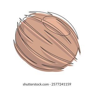 Brown coconut line art isolated on white background. Simple plant silhouette. Hand drawn coconut outline. Editable stroke. Vector illustration