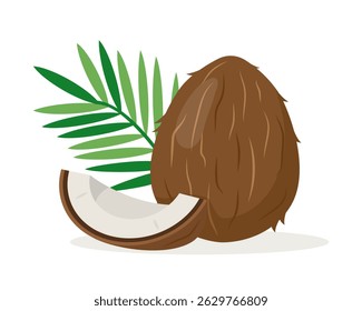 Brown coconut and piece. Whole and cut fresh coconuts and leaf. Summer exptic fruits for healthy lifestyle. Vector illustration isolated on white background.