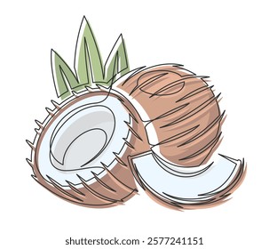 Brown coconuts with palm leaves line art isolated on white background. Simple plant silhouette. Hand drawn coconuts outline. Editable stroke. Vector illustration