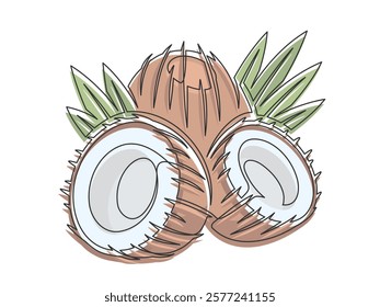 Brown coconuts with palm leaves line art isolated on white background. Simple plant silhouette. Hand drawn coconuts outline. Editable stroke. Vector illustration