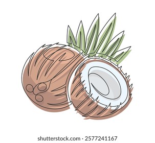 Brown coconuts with palm leaves line art isolated on white background. Simple plant silhouette. Hand drawn coconuts outline. Editable stroke. Vector illustration