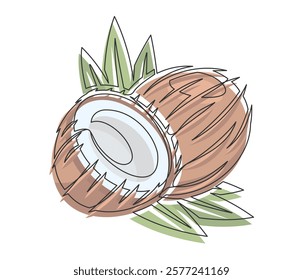 Brown coconuts with palm leaves line art isolated on white background. Simple plant silhouette. Hand drawn coconuts outline. Editable stroke. Vector illustration