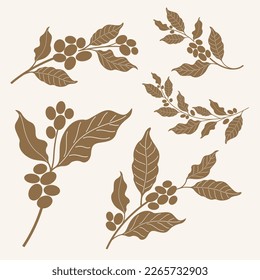Brown Coffee Bean and Leaf Silhouette