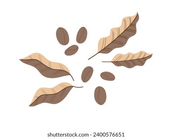 Brown coffee beans and leaves. Modern flat vector illustration isolated on white background