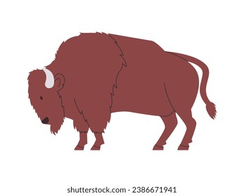 brown color American bison wild nature mammal animal with horned and big strong power dangerous herbivore