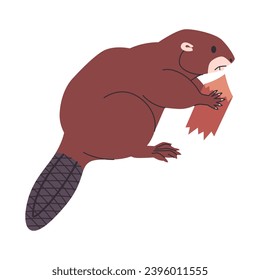 brown color beaver holding wooden and semiaquatic herbivores animal wild nature environment mammal creature