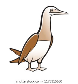 brown color bobo bird isolated on white background vector drawing