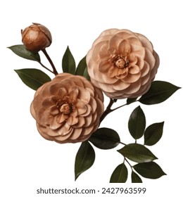 Brown color Camelia flower vector artwork 