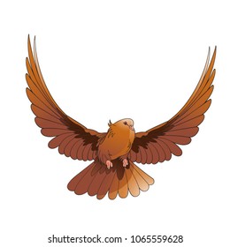 brown color flying dove vector cartoon
