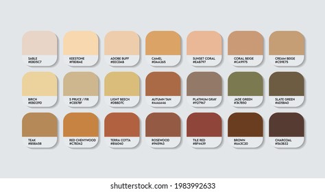 Brown Color Guide Palette. Catalog Samples cream and brown with RGB HEX codes. metal color palette Vector, wood color palette