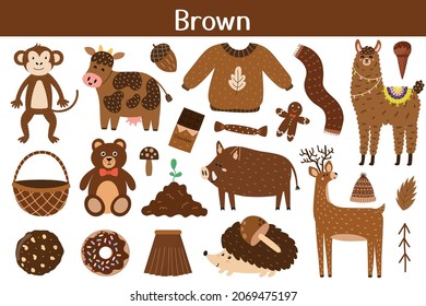 Brown color objects set. Learning colors for kids. Cute elements collection. Educational background. Vector illustration