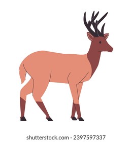 brown color rocky mountain elk or deer wild nature animal with big horns mammal herbivores creature