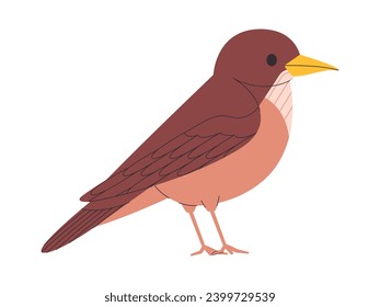 brown color small bird clay colored thrush species pretty cute nature animal wildlife creature