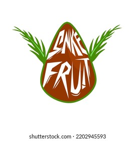 brown color snakefruit exotic tropical fruit illustration salak icon new