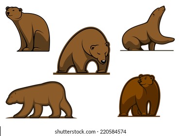 Brown colored cartoon bear characters isolated on white for wildlife and sport team mascot design