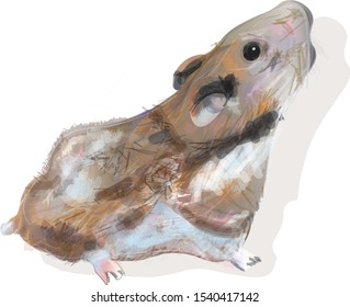 
Brown colored hamster looking up