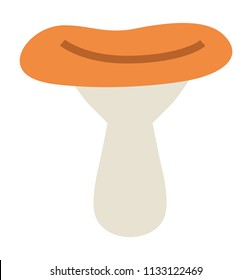 Brown colored mushroom